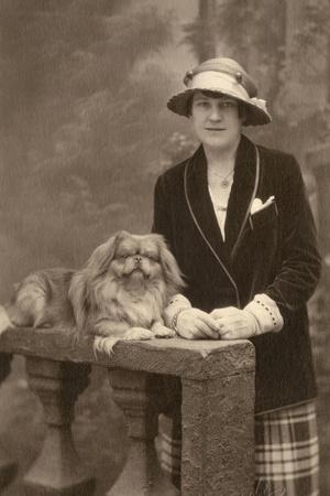 Pekingese Vintage Photography Wall Art: Prints, Paintings