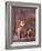 Studio Portraits of Two Yorkshire Terriers, One Lying Down and the Other Sitting up and Looking Up-Adriano Bacchella-Framed Photographic Print