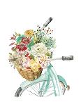 Basket and Bike-Studio Rofino-Framed Premium Giclee Print