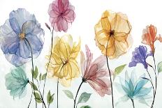 Translucent Petals-Studio Rofino-Art Print
