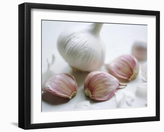 Studio Shot of a Bulb (Head) and Individual Cloves of Garlic-Lee Frost-Framed Photographic Print