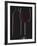 Studio Shot of Back-Lit Glass and Bottle of Red Wine-Lee Frost-Framed Photographic Print