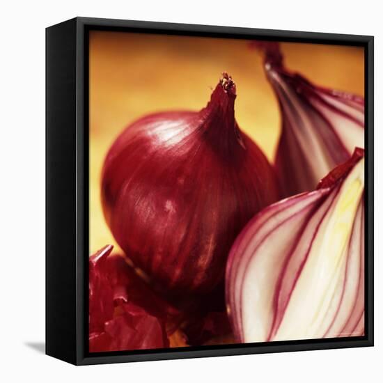 Studio Shot of Red Onions-John Miller-Framed Premier Image Canvas