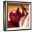 Studio Shot of Red Onions-John Miller-Framed Photographic Print