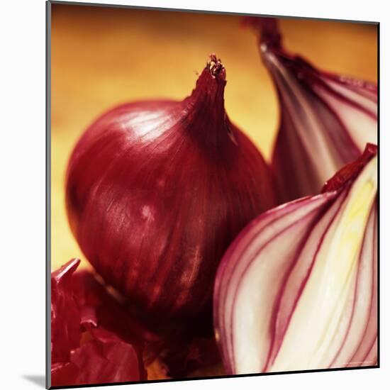 Studio Shot of Red Onions-John Miller-Mounted Photographic Print