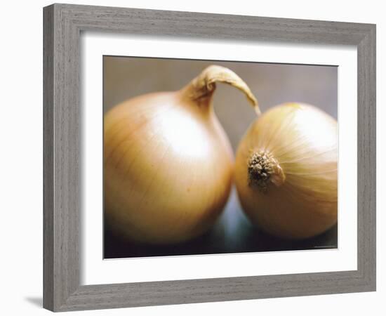 Studio Shot of Two Onions-Lee Frost-Framed Photographic Print