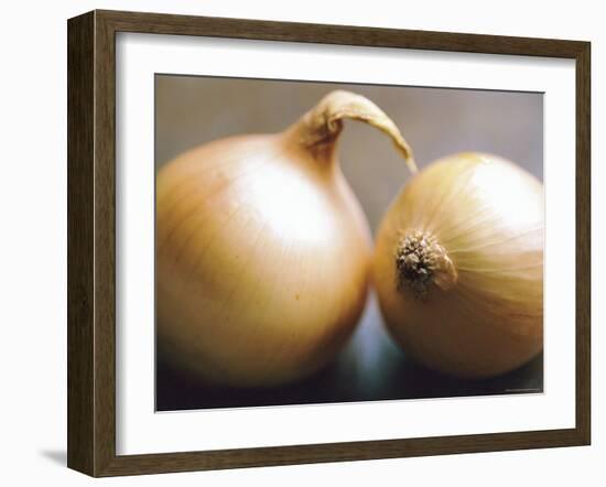 Studio Shot of Two Onions-Lee Frost-Framed Photographic Print