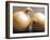 Studio Shot of Two Onions-Lee Frost-Framed Photographic Print