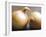 Studio Shot of Two Onions-Lee Frost-Framed Photographic Print