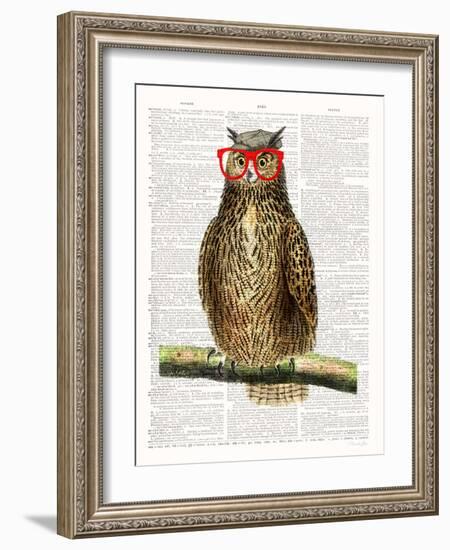 Studious Owl-Christopher James-Framed Art Print