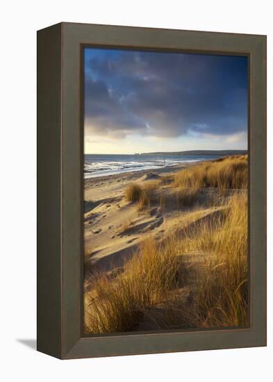 Studland Beach with Views to Old Harry Rocks, Dorset, England. Winter-Adam Burton-Framed Premier Image Canvas