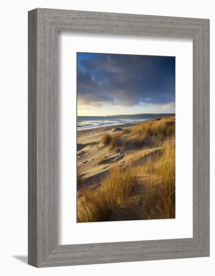 Studland Beach with Views to Old Harry Rocks, Dorset, England. Winter-Adam Burton-Framed Photographic Print