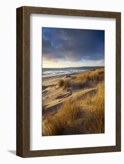 Studland Beach with Views to Old Harry Rocks, Dorset, England. Winter-Adam Burton-Framed Photographic Print