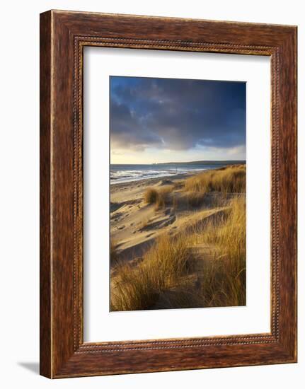 Studland Beach with Views to Old Harry Rocks, Dorset, England. Winter-Adam Burton-Framed Photographic Print