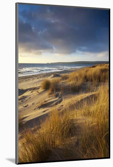 Studland Beach with Views to Old Harry Rocks, Dorset, England. Winter-Adam Burton-Mounted Photographic Print