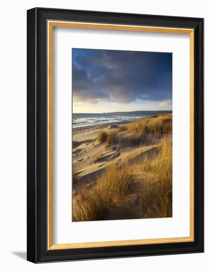 Studland Beach with Views to Old Harry Rocks, Dorset, England. Winter-Adam Burton-Framed Photographic Print