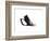 Study 11-Jaime Derringer-Framed Giclee Print