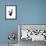 Study 13-Jaime Derringer-Framed Giclee Print displayed on a wall
