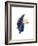 Study 15-Jaime Derringer-Framed Giclee Print