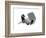 Study 18-Jaime Derringer-Framed Giclee Print