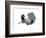 Study 18-Jaime Derringer-Framed Giclee Print