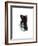 Study 20-Jaime Derringer-Framed Art Print