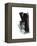 Study 20-Jaime Derringer-Framed Premier Image Canvas