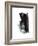 Study 20-Jaime Derringer-Framed Giclee Print