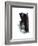 Study 20-Jaime Derringer-Framed Giclee Print