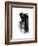 Study 20-Jaime Derringer-Framed Giclee Print