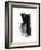 Study 20-Jaime Derringer-Framed Giclee Print