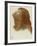 Study after 'Astarte Syriaca'-Dante Gabriel Charles Rossetti-Framed Giclee Print