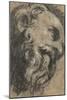 Study after Michelangelo's Saint Damian, C. between 1545 and 1550 (Black Chalk, Heightened with Whi-Jacopo Robusti Tintoretto-Mounted Giclee Print