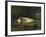 Study at the water's edge, 1864 by Berthe Morisot-Berthe Morisot-Framed Giclee Print