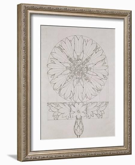 Study for a Cornflower, 1808-Philipp Otto Runge-Framed Giclee Print