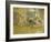 Study for a Portrait of Mr. and Mrs. Marcel Kapferer-Edouard Vuillard-Framed Giclee Print