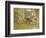 Study for a Portrait of Mr. and Mrs. Marcel Kapferer-Edouard Vuillard-Framed Giclee Print