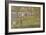 Study for "La Grande Jatte", 1884-5-Georges Pierre Seurat-Framed Giclee Print