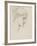 Study for Laus Veneria, C.1875 (Pencil on Paper)-Edward Burne-Jones-Framed Giclee Print