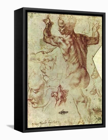 Study for Libyan Sibyl-Michelangelo Buonarroti-Framed Premier Image Canvas