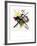 Study for On White II, 1922-Wassily Kandinsky-Framed Giclee Print