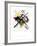 Study for On White II, 1922-Wassily Kandinsky-Framed Giclee Print