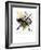 Study for On White II, 1922-Wassily Kandinsky-Framed Giclee Print