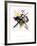 Study for On White II, 1922-Wassily Kandinsky-Framed Giclee Print