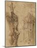 Study for Polycrates Crucifixion, C.1662-Salvator Rosa-Mounted Giclee Print