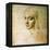 Study for the Angel of the Virgin of the Rocks-Leonardo da Vinci-Framed Premier Image Canvas