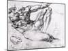 Study for the Creation of Adam-Michelangelo Buonarroti-Mounted Giclee Print