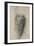 Study for the Drapery of a Man in Back View-Raphael-Framed Giclee Print