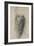 Study for the Drapery of a Man in Back View-Raphael-Framed Giclee Print