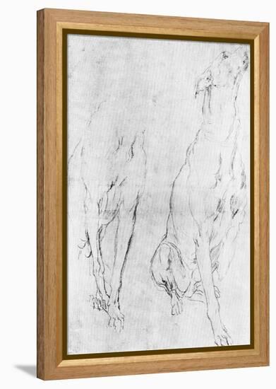 Study for the Greyhound in the Portrait of the Duke of Richmond, C1634-Sir Anthony Van Dyck-Framed Premier Image Canvas